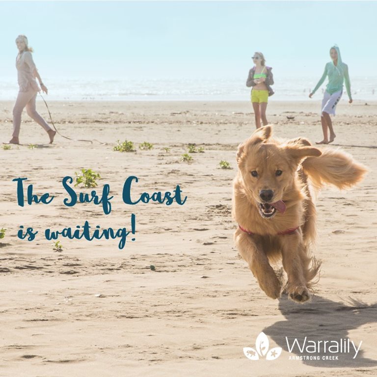 The Surf Coast is waiting at Warralily