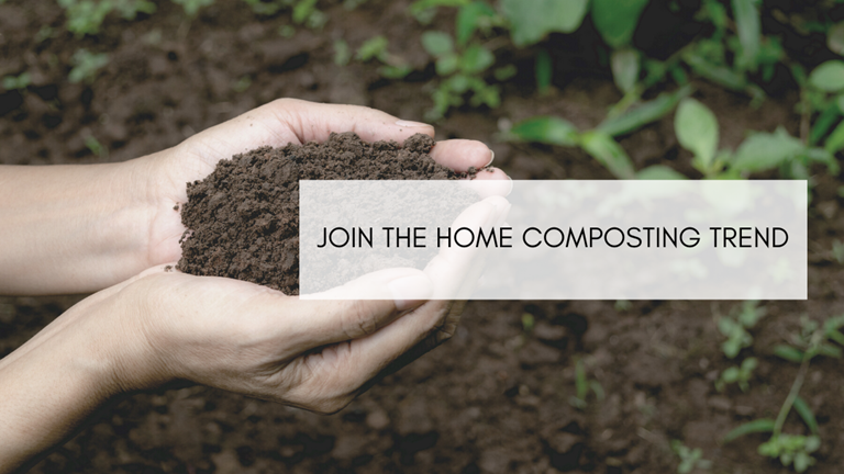 Join the home composting trend