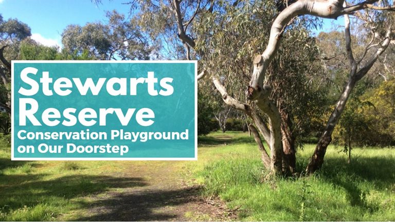 Stewarts Reserve- Conservation Playground on Our Doorstep