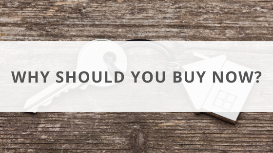 Why should you buy now?